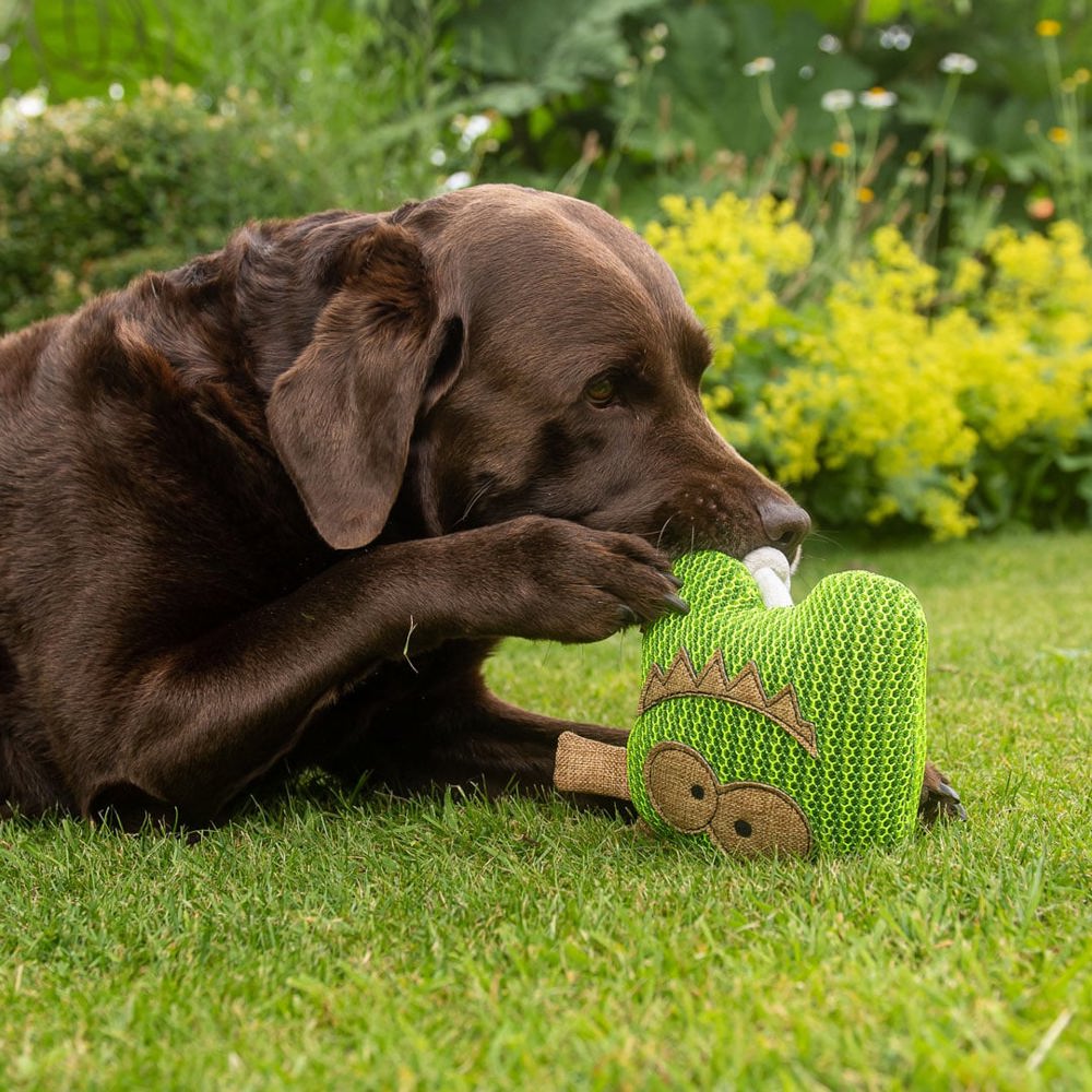 Hundespielzeug Gespenst, grün, one size