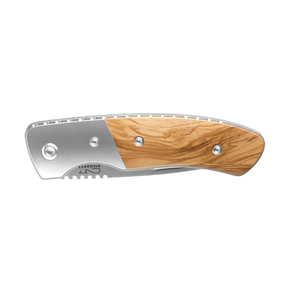 RICHARTZ® LEO picknick olive