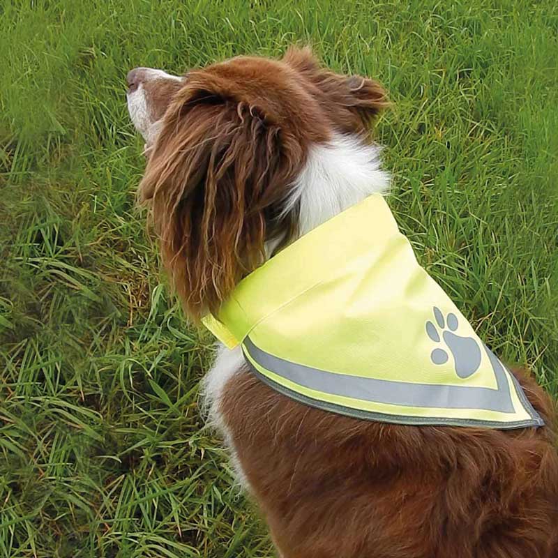 Hundehalstuch PAW | Preis auf Anfrage - gelb