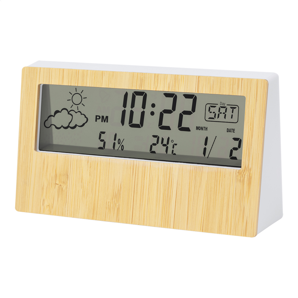 Zepra - Wetterstation