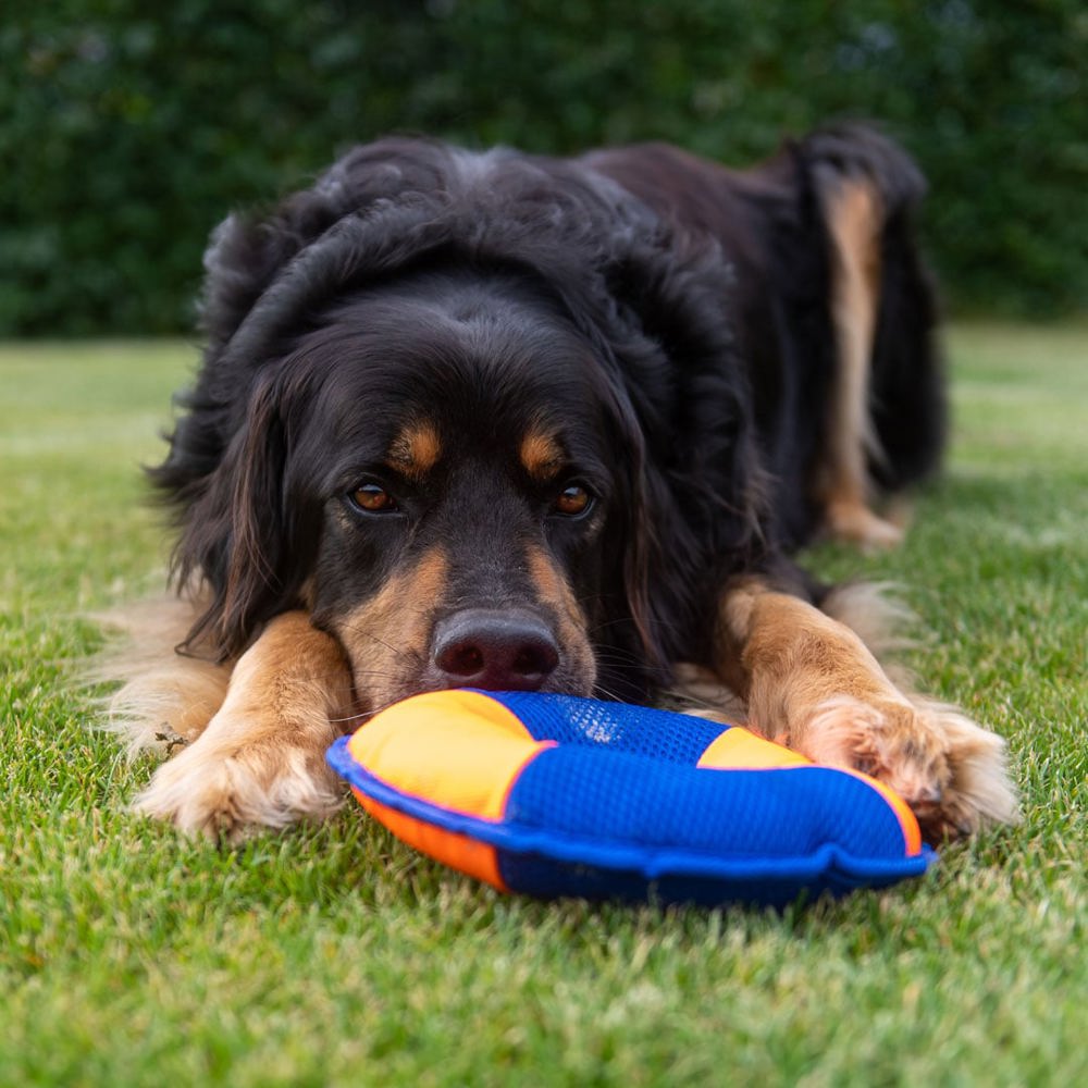 Hundespielzeug Flying Disc, orange/blau, M