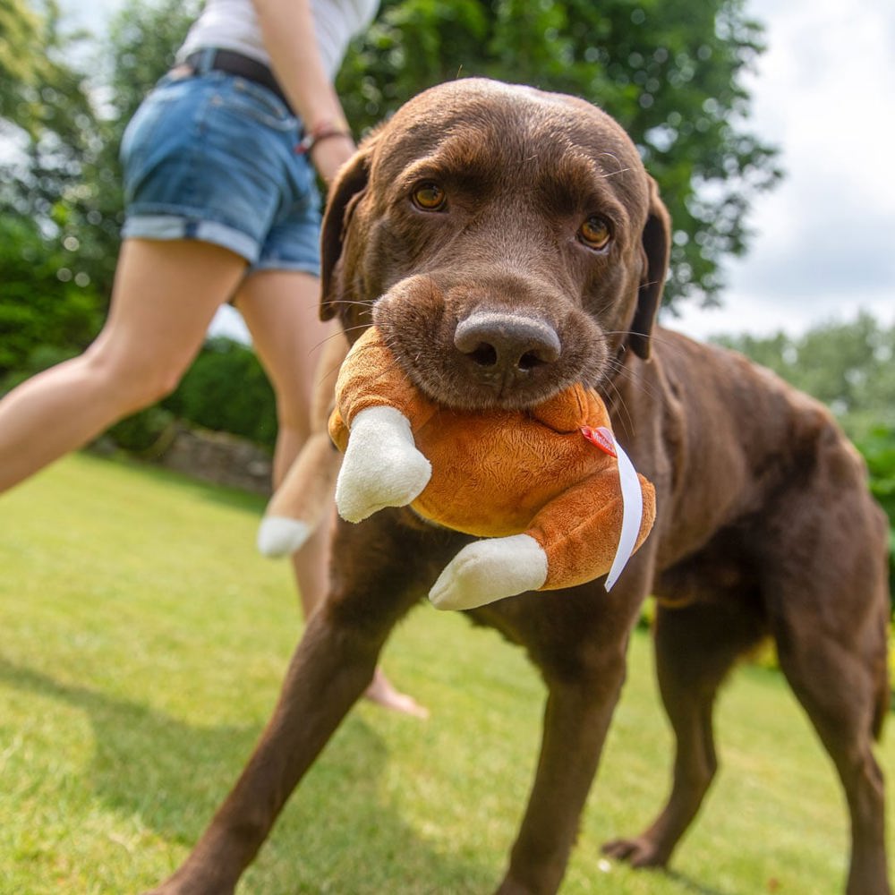 Hundespielzeug Hähnchen, braun, one size