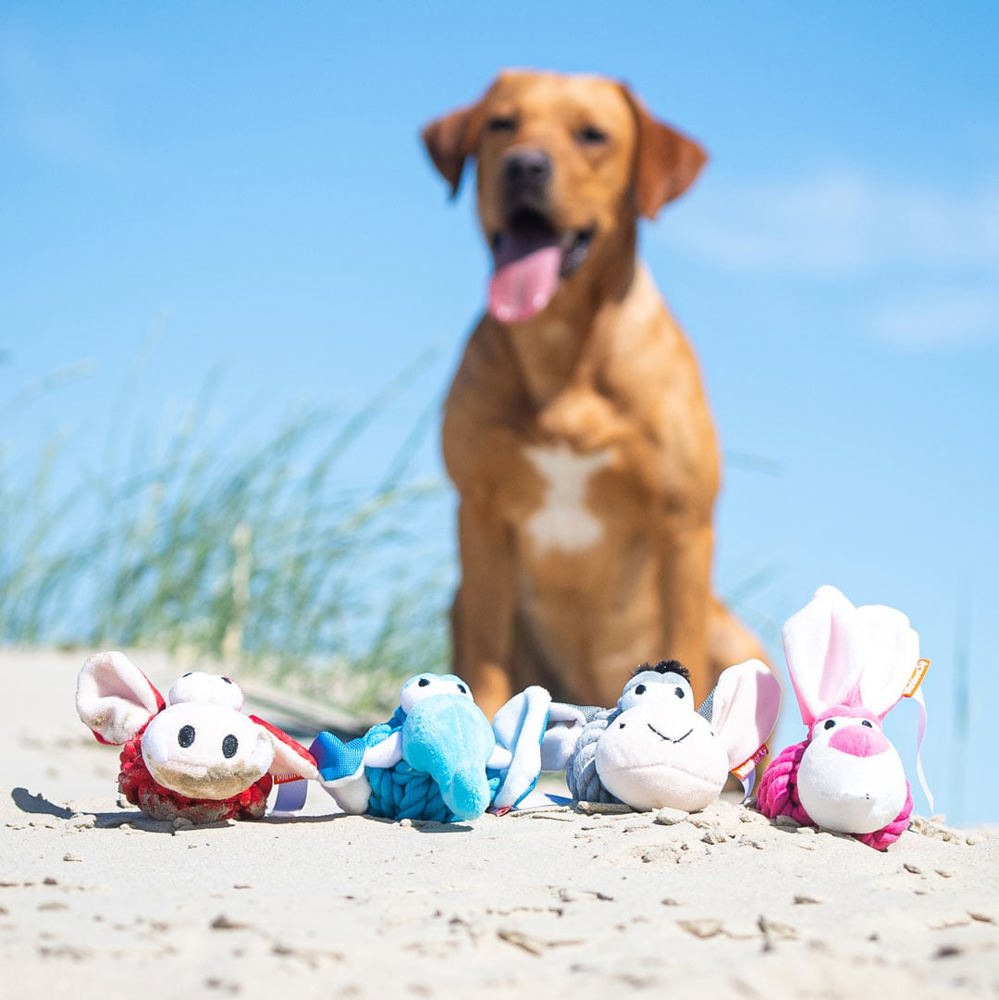Hundespielzeug Knotentier Elefant, blau, one size