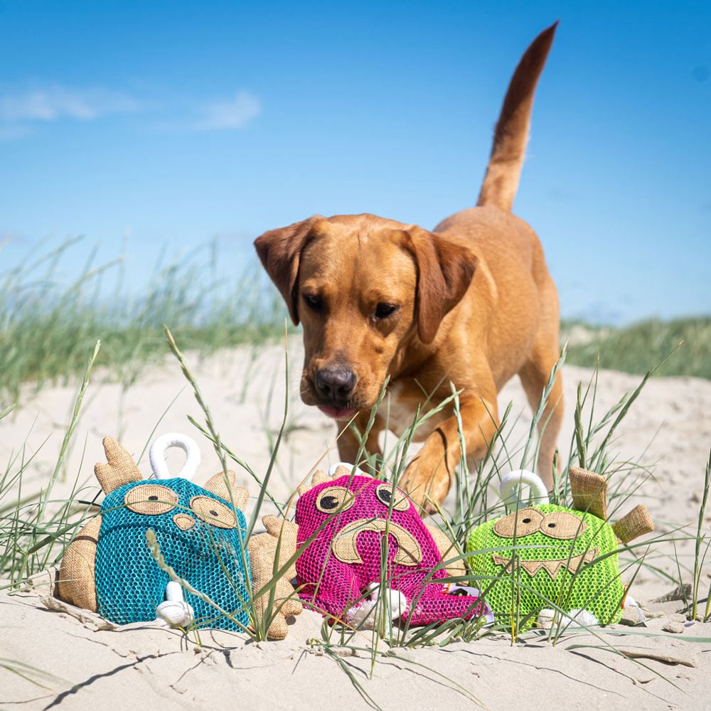 Hundespielzeug Gespenst, grün, one size
