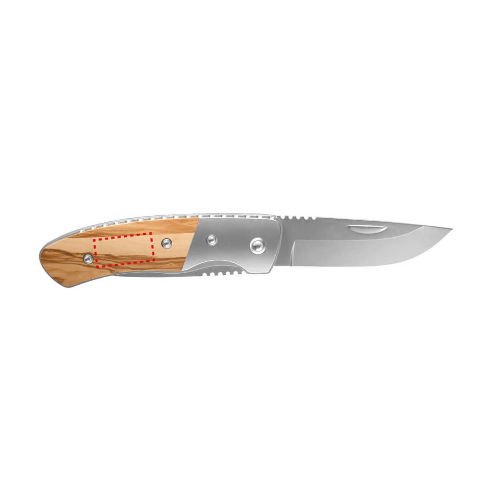RICHARTZ® LEO picknick olive